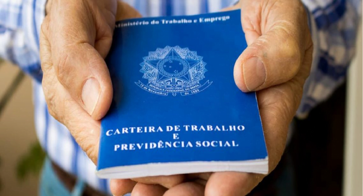Carteira assinada - INSS