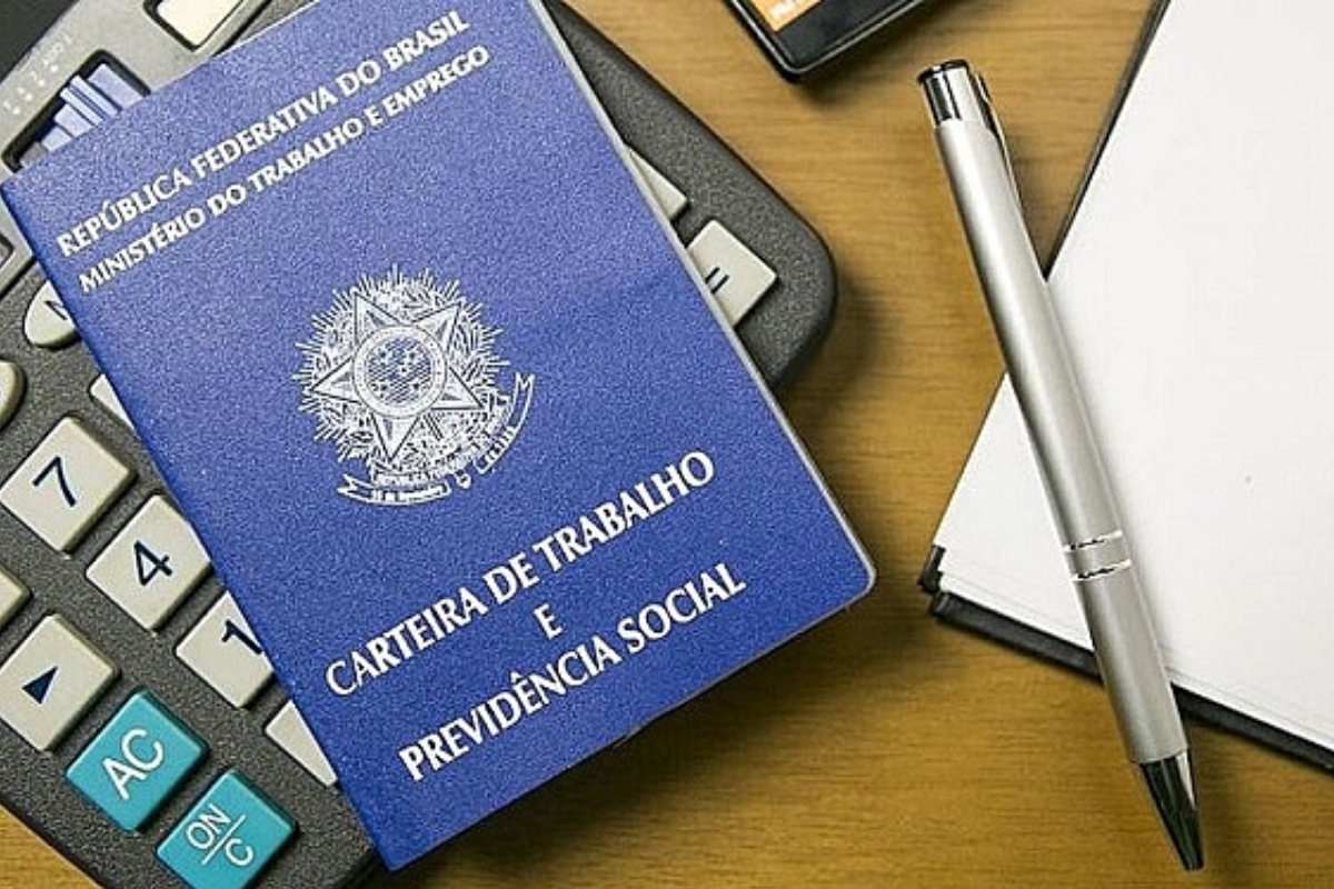 Novo SALÁRIO MÍNIMO de 2024 é proposto pela Ministra do Planejamento; valor chega a R$ 1.421