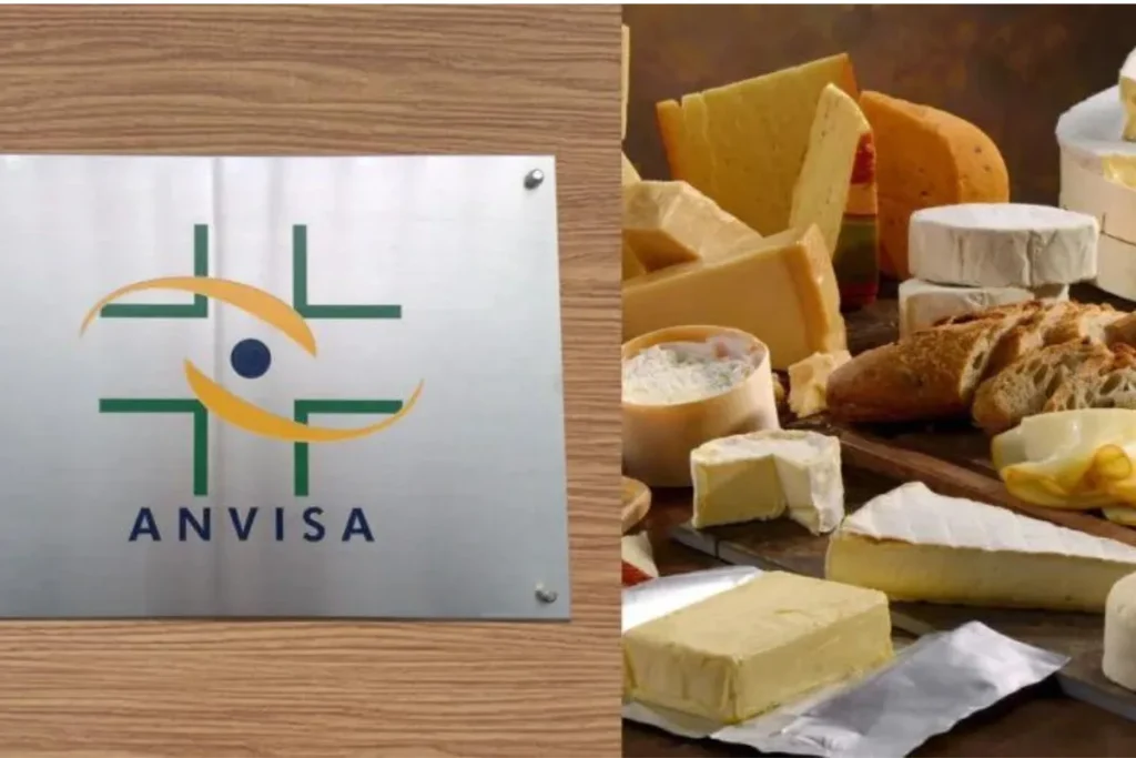 GRAVE RISCO: Proibição da ANVISA acaba de apreender 20 MIL KG de queijo popular no Brasil e pega todos de surpresa