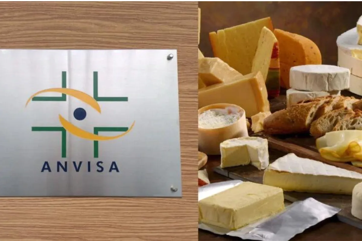 GRAVE RISCO: Proibição da ANVISA acaba de apreender 20 MIL KG de queijo popular no Brasil e pega todos de surpresa