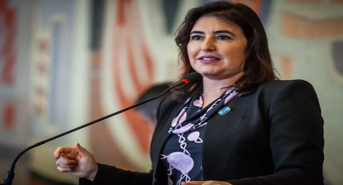 Adeus R$ 600: Decisão de Simone Tebet no Bolsa Família cai como surpresa para NIS 0 a 9