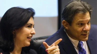 Simone Tebet e Fernando Haddad