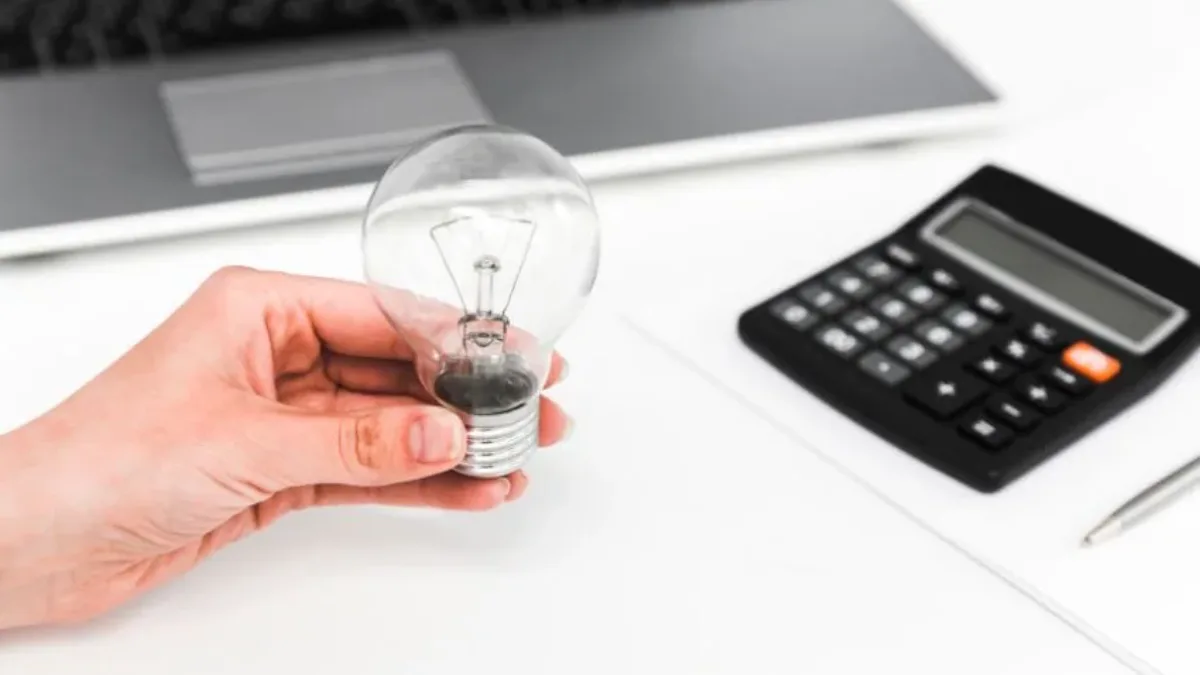 Veja como cadastrar o NIS na conta de luz de forma simples pela internet para conseguir benefícios!