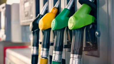 Gasolina