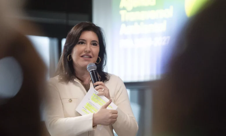 Simone Tebet dá canetada e corte bilionário vai atingir Bolsa Família e +1 programa em 2025; veja se você será afetado