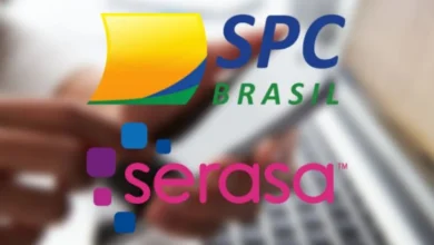 Consulte o seu CPF Grátis! Cheque Sua Situação Financeira no SPC e Serasa agora mesmo