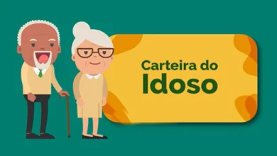 Explorando a Carteira do Idoso! Tudo o que você precisa saber para 2025!
