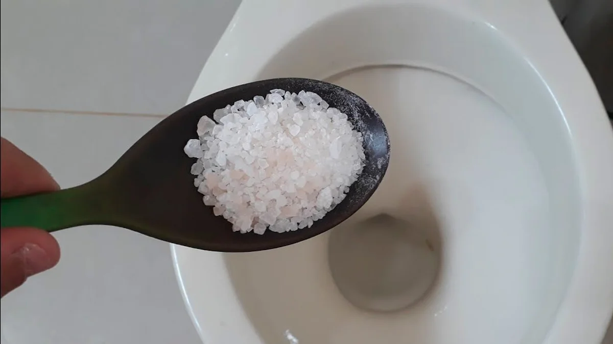 Utilizar o sal grosso é uma ótima maneira de limpar o vaso sanitário. Foto: Reprodução