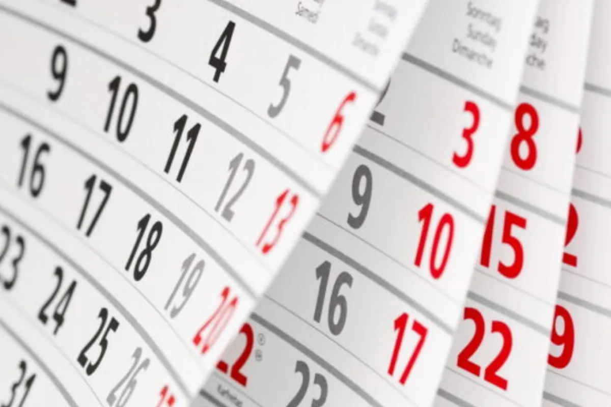 Feriados em 2025! Confira as principais datas comemorativas no calendário
