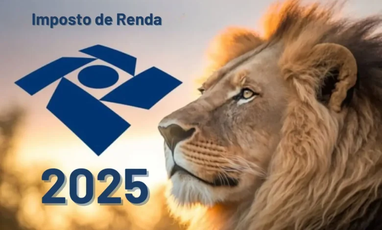Não quero declarar o Imposto de Renda 2025, o que pode acontecer? Confira