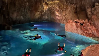 Brasil tem paraíso escondido com águas cristalinas e sucuris gigantes; entenda o motivo
