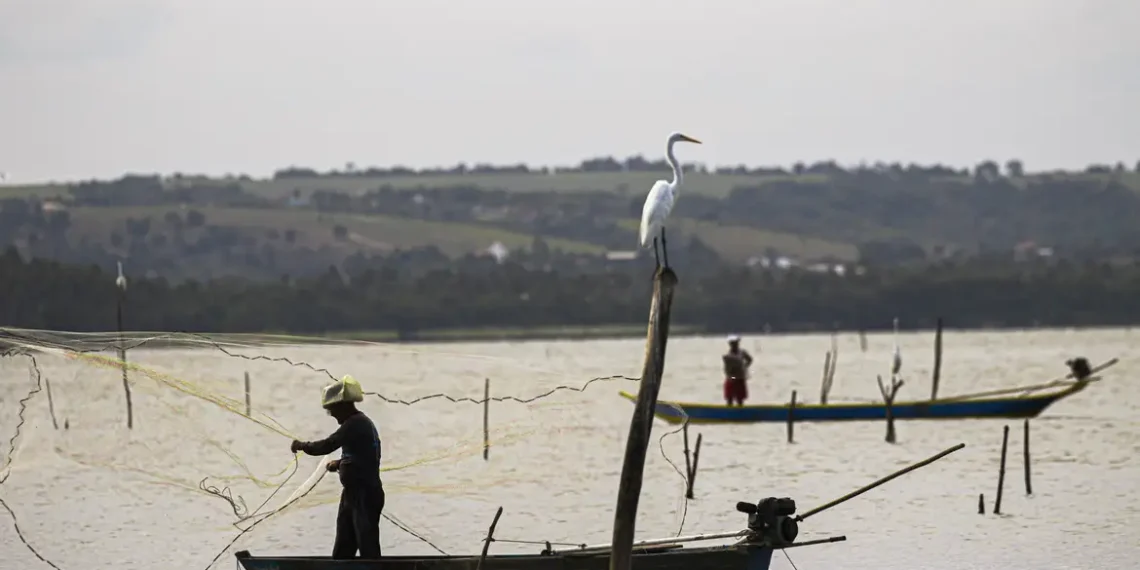 Seguro-Defeso. Foto: JOÉDSON ALVES/AGÊNCIA BRASIL