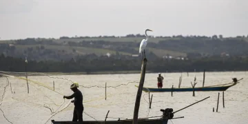 6º lote do seguro-defeso com valor de R$1.621 entra na conta nesta terça-feira (24/03); veja quem recebe