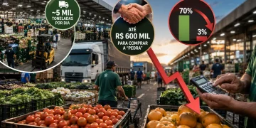 Quase 5 mil toneladas de alimentos por dia, até R$ 600 mil para comprar uma “pedra” e margens que despencaram de 70% para apenas 3%: os bastidores do Ceasa de Campinas revelam como mudou um dos maiores mercados de hortifrúti do Brasil