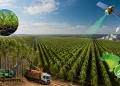 Milhões de árvores em fileiras perfeitas, monitoramento por satélite e um setor que movimenta R$ 240 bilhões: como as gigantes florestas de eucalipto transformaram o Brasil em uma potência mundial da celulose